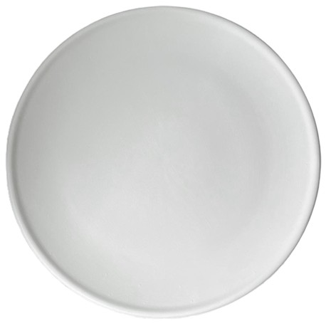 PLATO DE PIZZA 31 CM BIZCOCHO